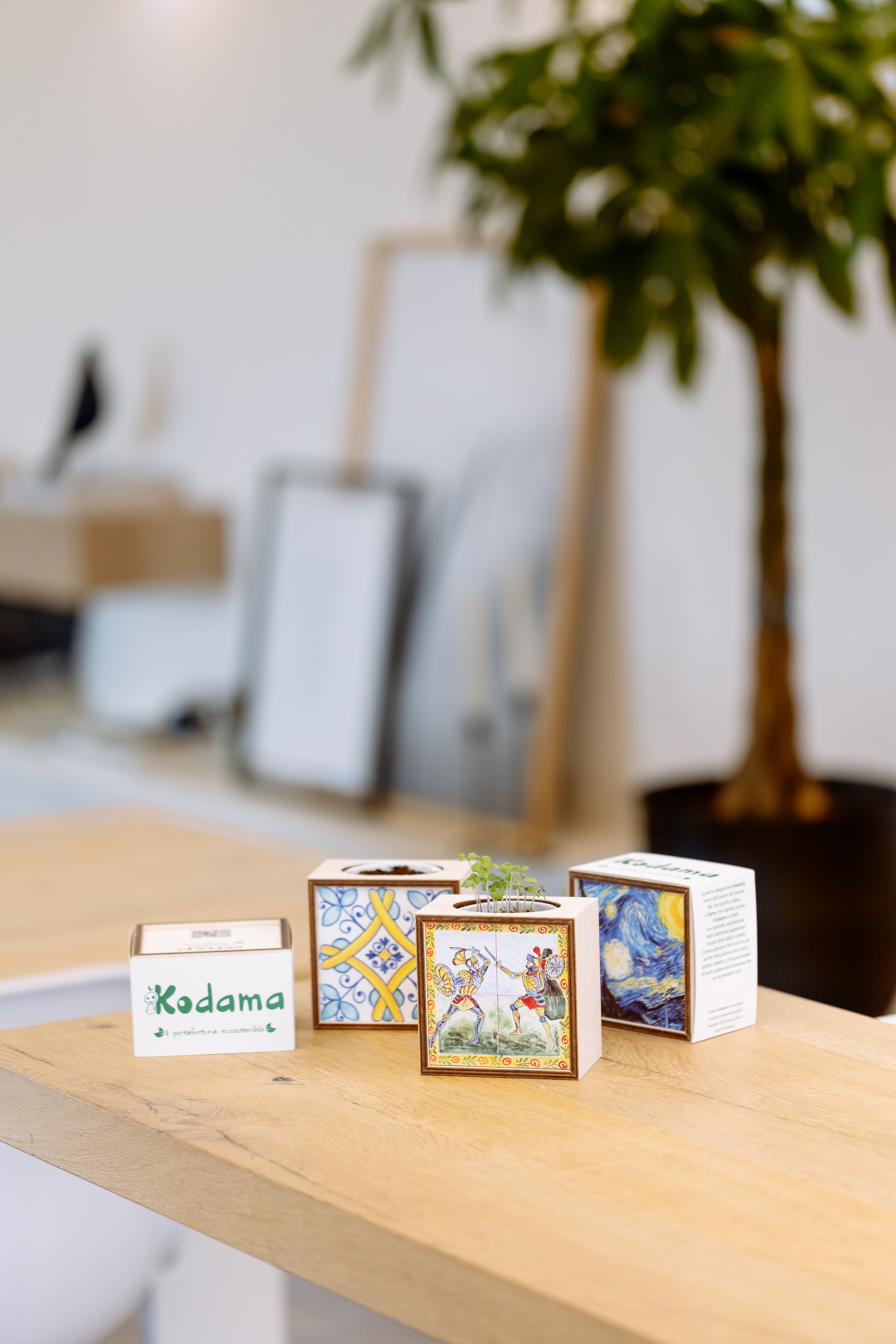 kodama laurea - ecosostenibile con semini - n.12 pezzi